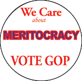 badge_meritocracy